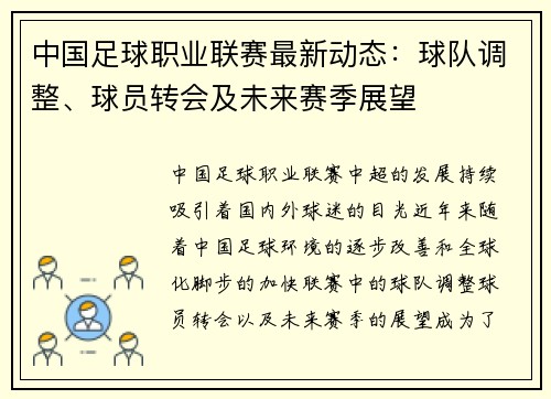 中国足球职业联赛最新动态：球队调整、球员转会及未来赛季展望