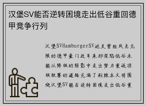 汉堡SV能否逆转困境走出低谷重回德甲竞争行列