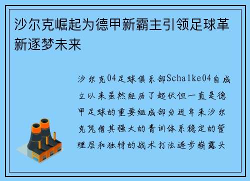 沙尔克崛起为德甲新霸主引领足球革新逐梦未来